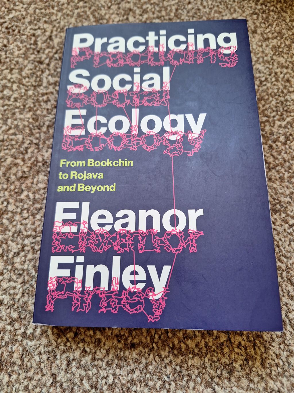 Bookchin for beginners — Practicing Social Ecology by Eleanor Finley, review and&nbsp;analysis